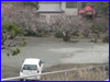 寺院　お墓　龍洞院