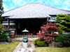 寺院　お墓　宗泰院